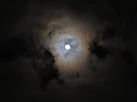 ★ドンキ♡♡ロピア雑談126★