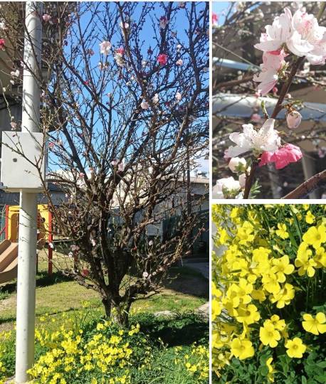 ★ドンキ♡♡ロピア雑談126★