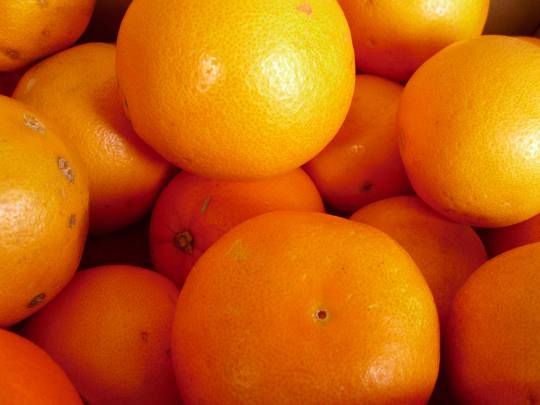 ★ドンキ♡♡ロピア雑談126★