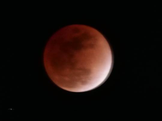 マスク同好会詰め所兼ニューフェイス歓迎所47╰⁠(⁠*⁠´⁠︶⁠`⁠*⁠)⁠╯