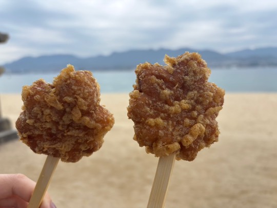 ★ドンキ♡♡ロピア雑談126★