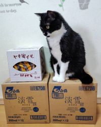 4月15日(水曜日) 　広島倉庫店｜雨の中、朝イチ行ってリベンジ成功(*´∀...