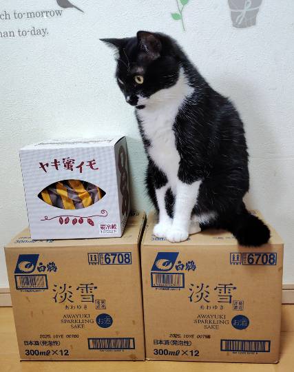 4月15日(水曜日) 　広島倉庫店｜雨の中、朝イチ行ってリベンジ成功(*´∀...