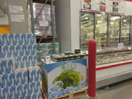 4月10日(金曜日) 守山倉庫店|おはようございます
いつもありがとうご...