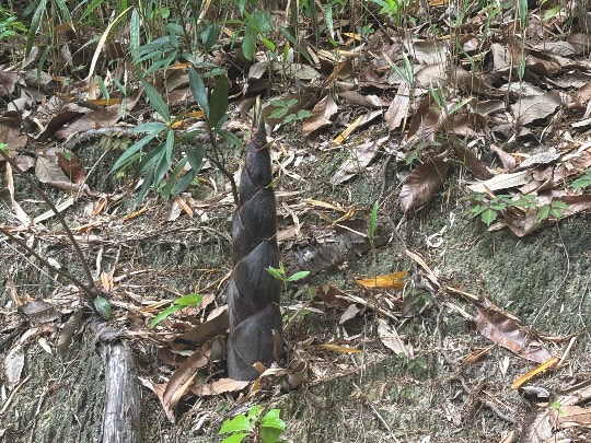 ★ドンキ♡♡ロピア雑談126★