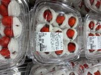 4月24日(金曜日) 　浜松倉庫店