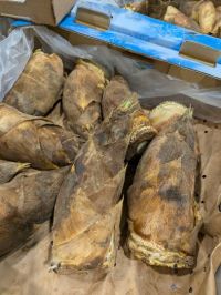 4月9日(木曜日) 　岐阜羽島倉庫店｜おはようございます
いつもありがとうご...