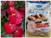 4月2日(木曜日) 　岐阜羽島倉庫店｜こんにちは
いつもありがとうございます...