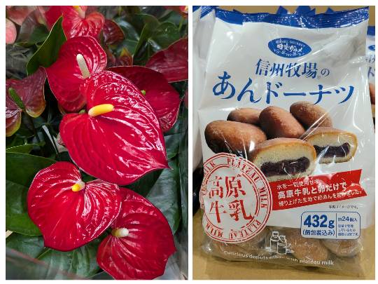 4月2日(木曜日) 　岐阜羽島倉庫店｜こんにちは
いつもありがとうございます...