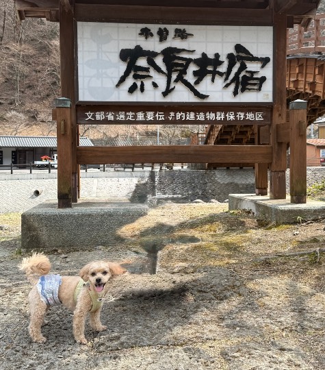 生き物ルーム76
