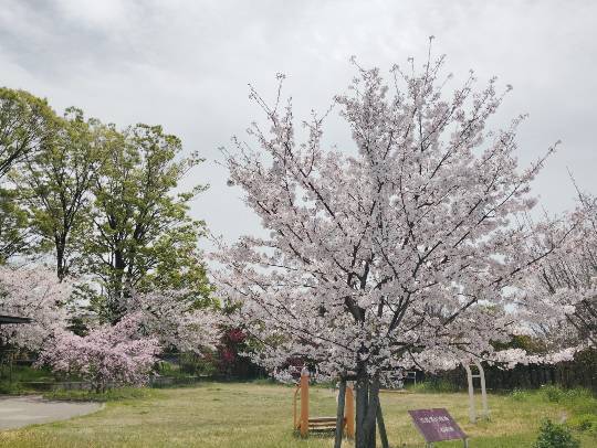 ★ドンキ♡♡ロピア雑談126★