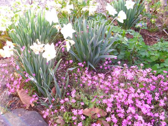 ★ドンキ♡♡ロピア雑談126★