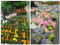 4月13日(月曜日) 　守山倉庫店｜おはようございます
いつもありがとうご...