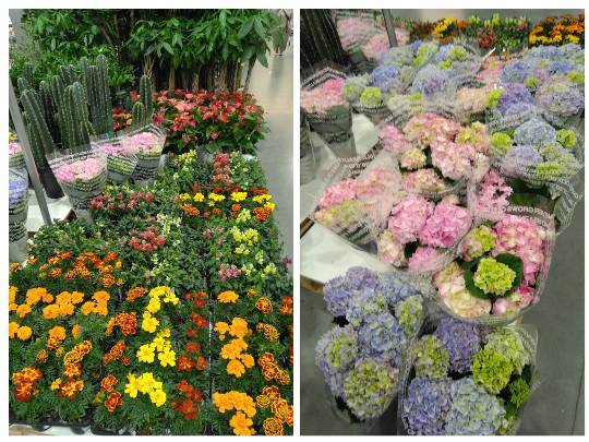 4月13日(月曜日) 守山倉庫店|おはようございます
いつもありがとうご...