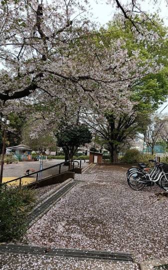 ★ドンキ♡♡ロピア雑談126★