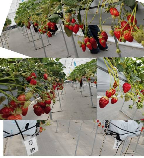 ★ドンキ♡♡ロピア雑談126★