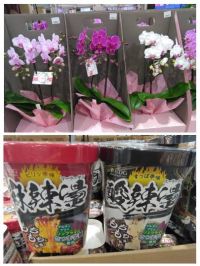 4月22日(水曜日) 　守山倉庫店