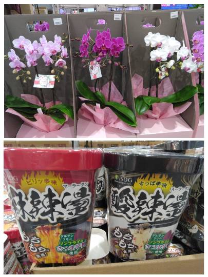 4月22日(水曜日) 　守山倉庫店｜おはようございます
いつもありがとうご...