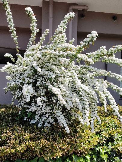 ★ドンキ♡♡ロピア雑談126★