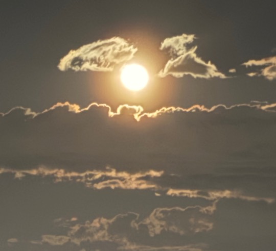 ★ドンキ♡♡ロピア雑談126★