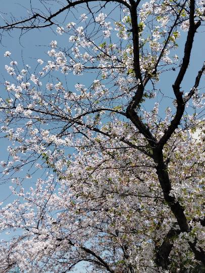 ★ドンキ♡♡ロピア雑談126★