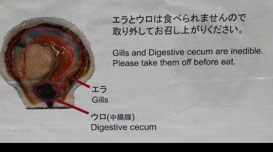 4月27日(月曜日) 　千葉ニュータウン倉庫店｜メルマガのアイリスのパックライスの代替...
