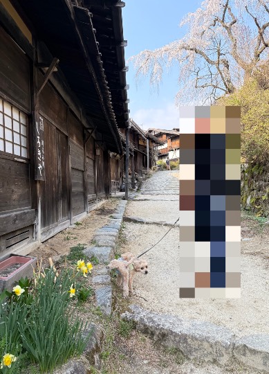 生き物ルーム76