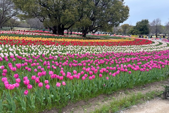 ★ドンキ♡♡ロピア雑談126★