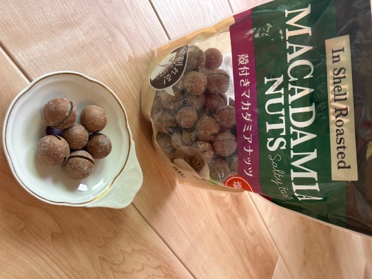 殻付きマカダミアナッツ