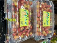 5月19日(火曜日) 　久山倉庫店｜【レイニアチェリー】登場
907g 3...
