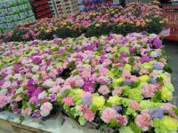 5月8日(金曜日) 　守山倉庫店