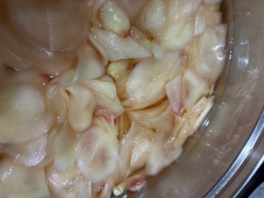 【料理トピ】食い隊 知り隊 作り隊 鉢