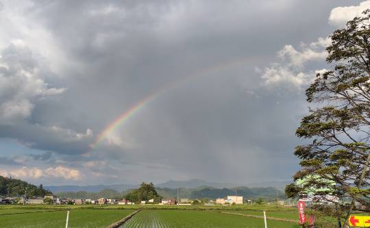 6月12日(金曜日) 　かみのやま倉庫店｜仕事帰りに移動したら米沢で通り雨に遇いま...