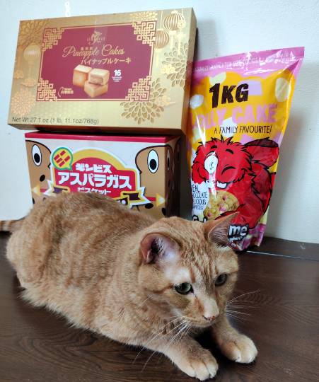 6月22日(月曜日) 　広島倉庫店｜今日は朝イチから美術館→初ロピア→コスト...