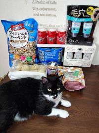 6月17日(水曜日) 　広島倉庫店｜なんだかバタバタしてて、ちょっぴり久しぶ...