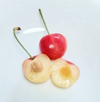 7月3日(金曜日) 　中部空港倉庫店｜ウーフォス入荷してます！...