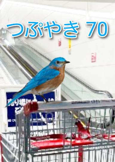 つぷやき 70