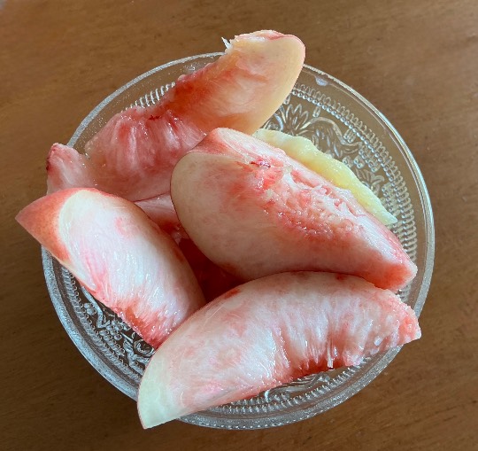 ★ドンキ♡♡ロピア雑談128★
