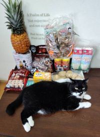 8月28日(金曜日) 　広島倉庫店｜久しぶりにゆっくり買い物してきました〰♪...