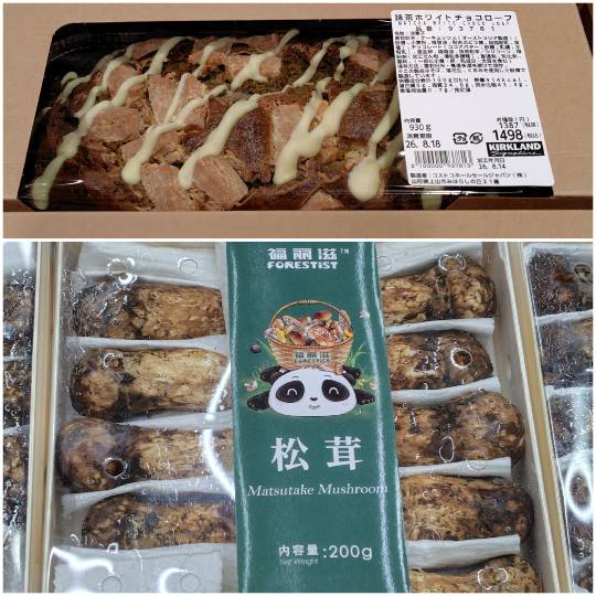 8月16日(日曜日) 　かみのやま倉庫店｜働く熊さん（コストコベア）はまだいません...