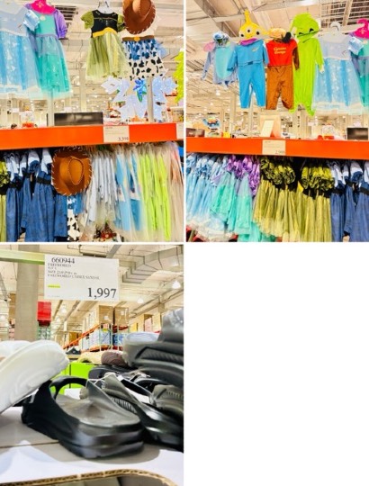 9月25日(金曜日) 　川崎倉庫店｜急ぎ来店したので少なめです
(15時過...