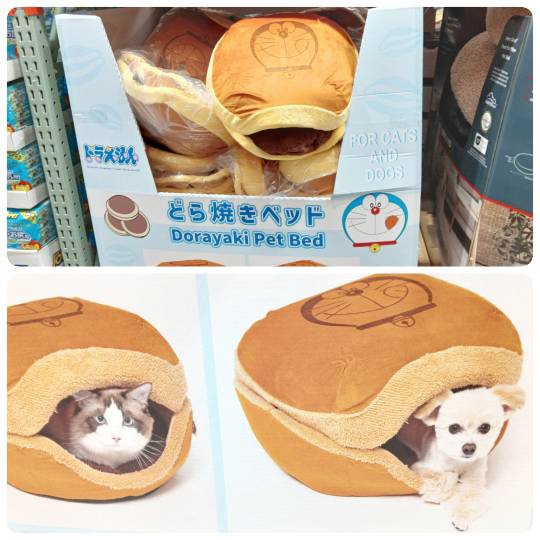 9月27日(日曜日) 　中部空港倉庫店｜●筋子　@ 2040円
今日は1本のパ...