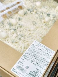 9月8日(火曜日) 　中部空港倉庫店｜お久しぶりです
11:15から来ていま...
