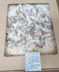 ★きのこづくしピザ（デリカの四角ピザ新商品）