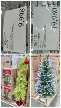 9月8日(火曜日) 　中部空港倉庫店｜お久しぶりです
11:15から来ていま...