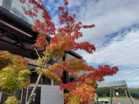 9月19日(土曜日) 　かみのやま倉庫店｜かみのやま倉庫の掲示板、全く機能してませ...