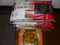 10月8日(木曜日) 　前橋倉庫店｜3時頃に行ってきました。
ふさこがね２...