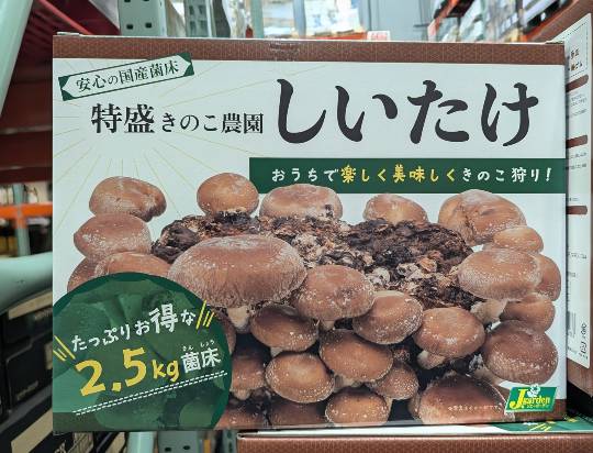 10月8日(木曜日) 　岐阜羽島倉庫店｜おはようございます
いつもありがとうご...